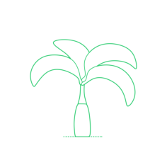 Plants Palms Bottle Palm Engraving Svg Design, Free Vectors File